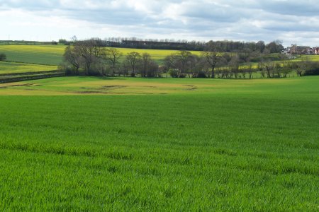 Wear Valley Crematorium Site